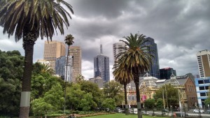 Palm trees and office buildings, a nice mix.